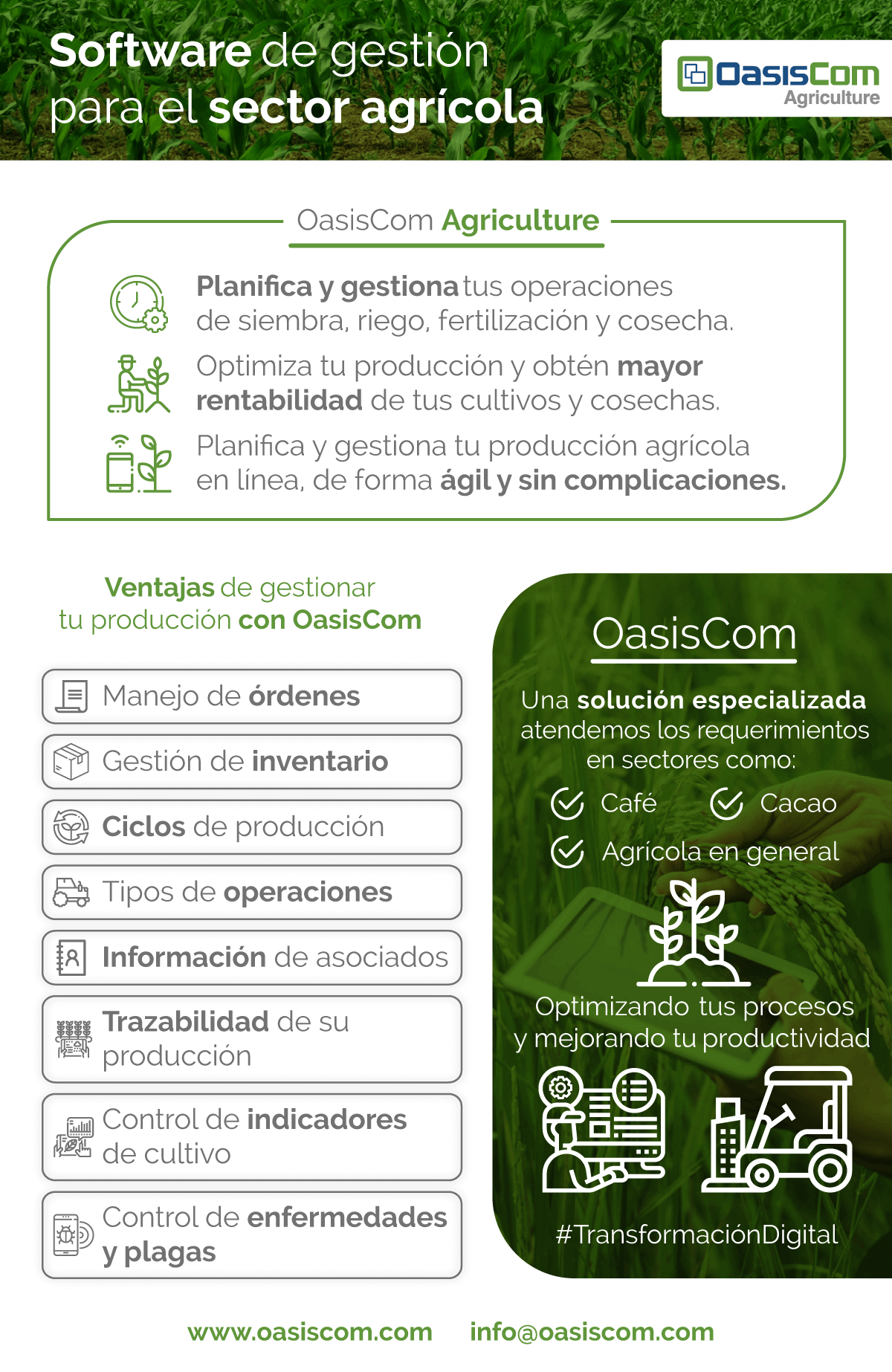 Software contable proceso