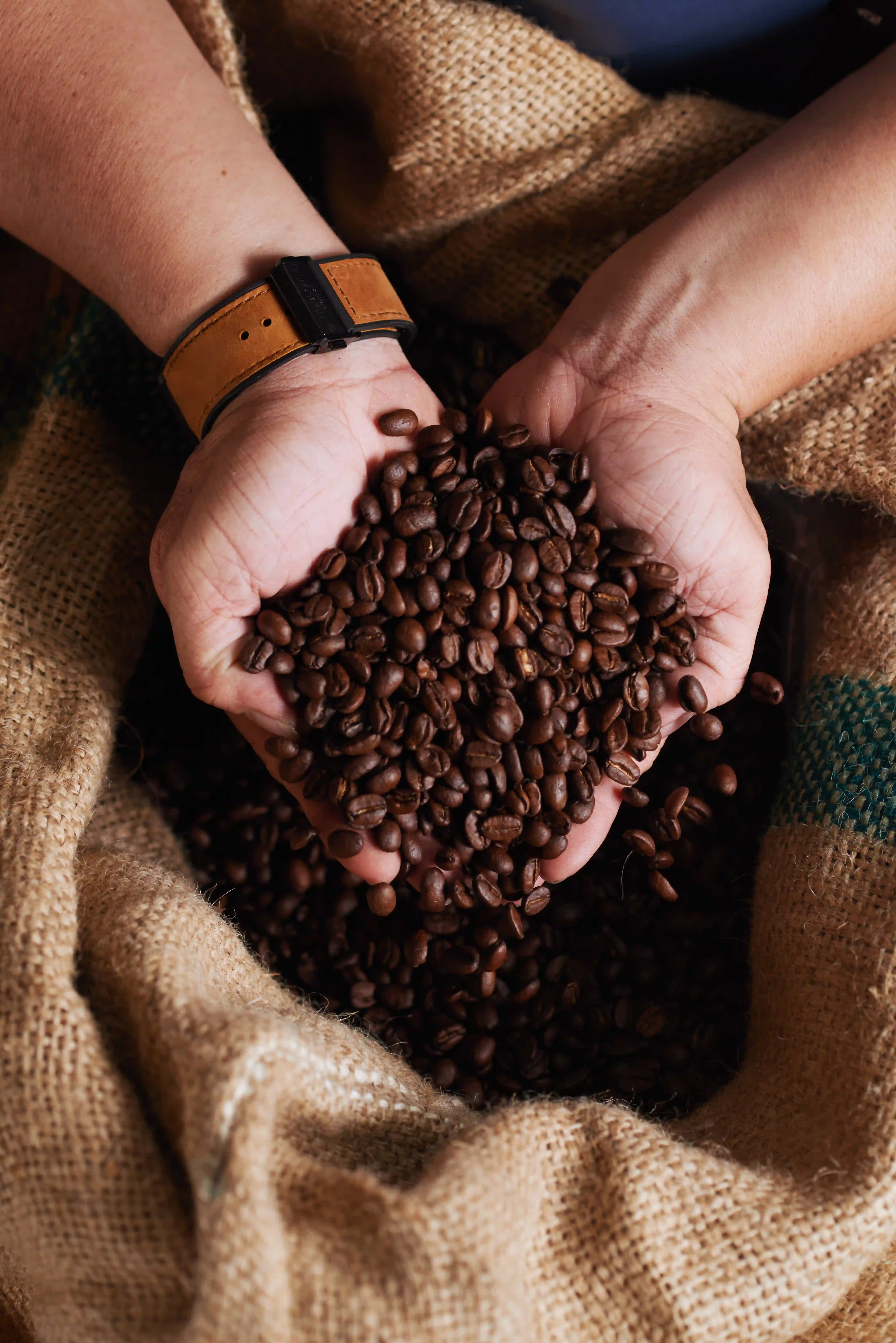 Software ERP para cooperativas y comercializadoras de café