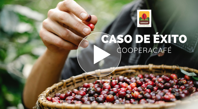  historia de éxito Cooperacafe