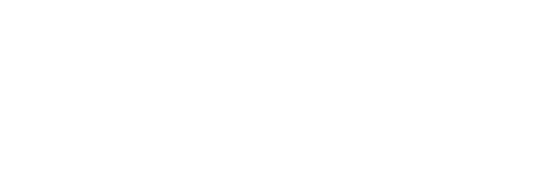 Demo vigilancia