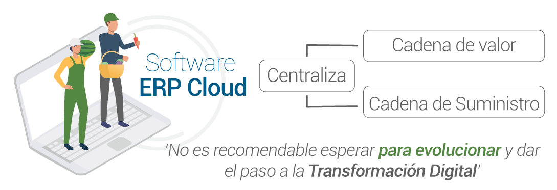 ERP centraliza las cadenas