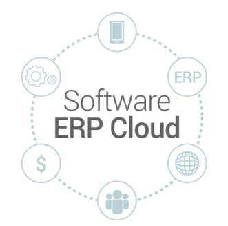 software erp