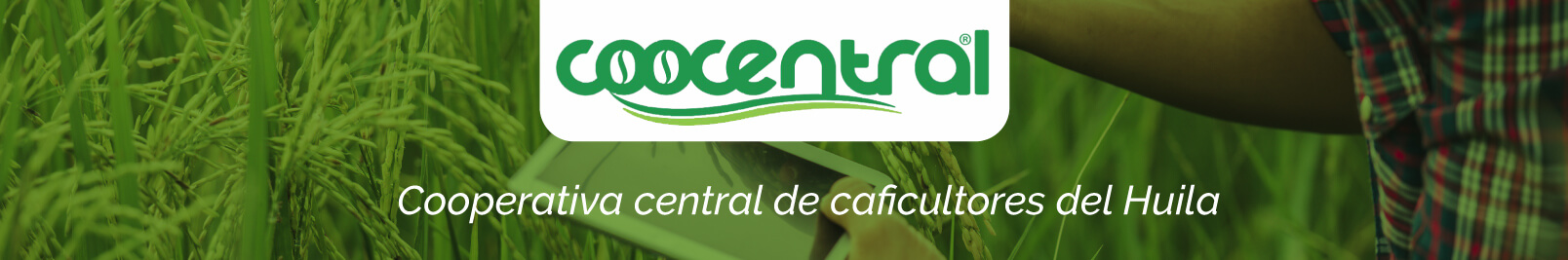 Coocentral cliente OasisCom