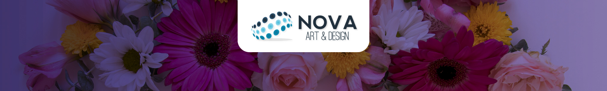 NOVA Art & Design cliente OasisCom